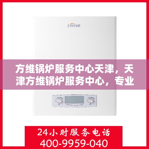 方维锅炉服务中心天津，天津方维锅炉服务中心，专业维护，安心之选